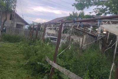 Casă cu Teren 870 Mp în Sârbeni - 4