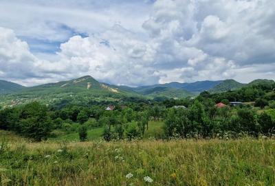 Teren de vanzare in Baia Sprie: 52 Ari, Parcelabil, Comision 0% - 3