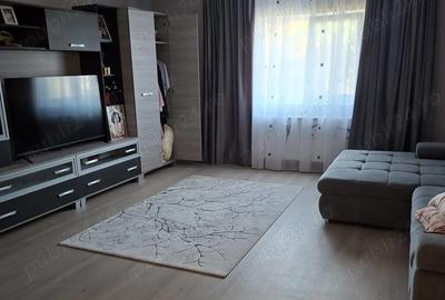 Casa de vanzare becicherecu mic - 4