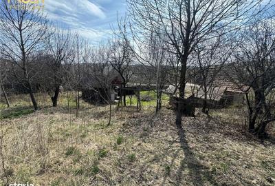 Teren de 11400 mp, în Apahida - 11