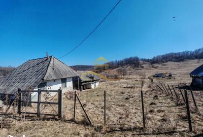 Teren de 6625 mp, în Mărgineni - 3