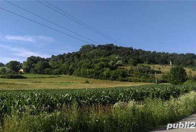Teren de 20000 mp, în Sighișoara - 3