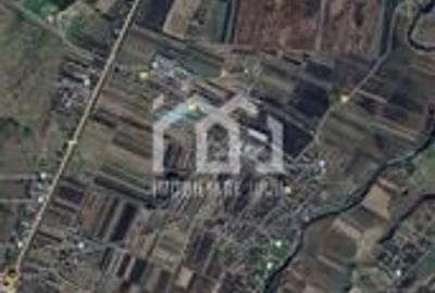 Teren Construcții intravilan de 1098 mp, în Jucu de Mijloc - 4