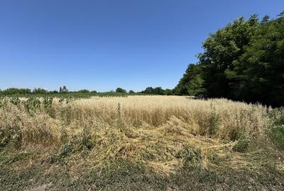 Teren Construcții intravilan de 2999 mp, în Ghighiu - 2