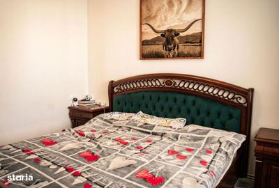 Apartament cu 2 camere decomandat în Aleea Tudor Neculai - 13