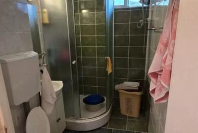 Apartament 2 camere Drumul Taberei-Favorit - 4