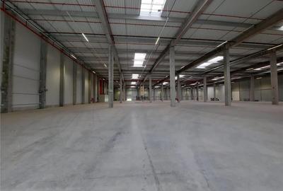 Spatiu Industrial - 1800 mp - Logistica - Productie - Depozitare - Distributie