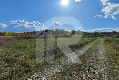 Teren de 1000 mp, în Crevedia - 1