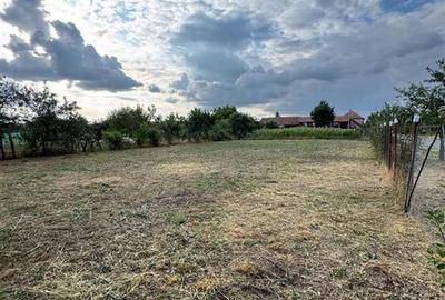 Casă individuală cu 5 camere cu Teren 1518 Mp în Cheresig - 11