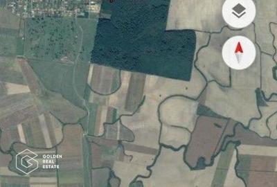 Teren agricol extravilan de 500000 mp, în Bazoșu Nou - 1