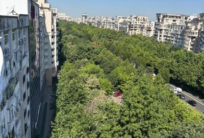 UNIRII,VEDERE PANORAMICA BULEVARD,terasa superba in proprietate,monolit,stradal - 11