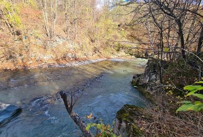 Teren de 3200 mp, în Valea Doftanei - 13