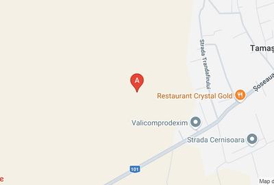 Teren Construcții intravilan de 15900 mp, în Tamași - 2