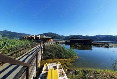 OCAZIE!!! Teren 2500mp, Berzasca-Liubcova, FS20m fata-spate - 10