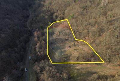 Teren intravilan de 5000 mp, în Coaș - 5