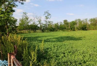 Teren intravilan de 3580 mp, în Călțuna - 3