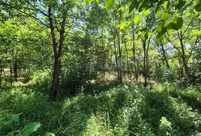 Casa de vanzare cu priveliste frumoasa - 3