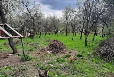 Casă cu 6 camere în Dealu Mare - 3