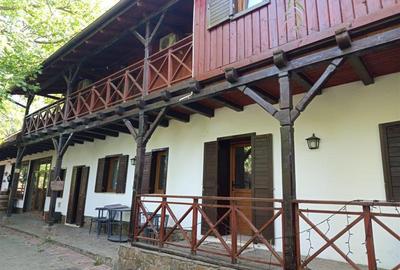 Hotel/Pensiune, de 431 mp, în Ilidia - 30