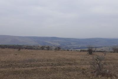 Teren agricol pentru investitii, zona Valea Calda -Iris - 7