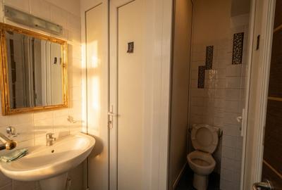 Spațiu comercial, de 120 mp, în Herăstrău - 8