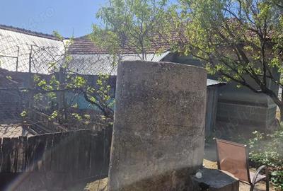Casă cu 5 camere cu Teren 3937 Mp în Ianca - 11