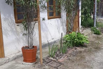 Casă cu 5 camere în Daneți - 2