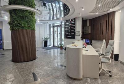 Cladire de Birouri | Stirbei Voda | 3 etaje disponibile | 60-750 mp - 2