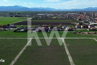 Spațiu comercial, în Hălchiu - 16