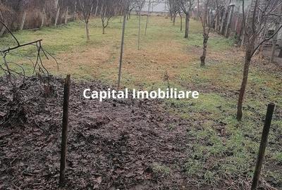 Casă cu Teren 895 Mp în Central - 6