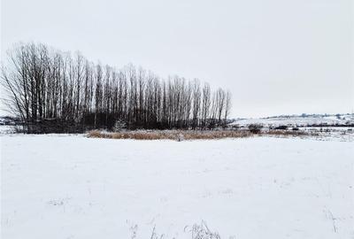 Teren de vanzare in Dorohoi zona de Nord - 2