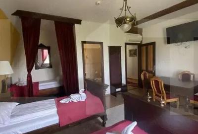 Casă cu 7 camere cu Teren 3000 Mp în Central - 1