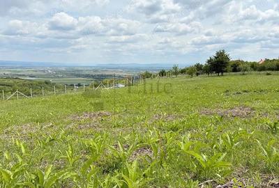 Teren 9461 mp cu panorama in Cartierul Podgoria din Oradea - 3
