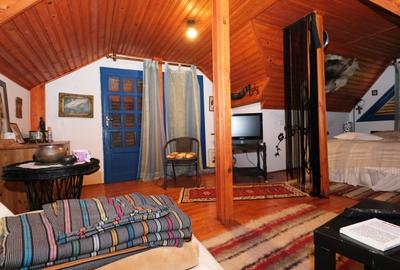 Vanzare casa mare munte, zona superba si 4000 mp teren la munte Cheia Prahova - 2