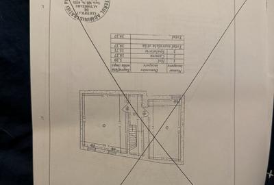 Viluta singur curte, boema - 19
