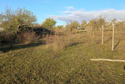 Teren de 1450 mp, în Valea Crișului - 4