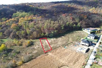 Teren de vanzare zona Wevern, Medias 1.222 mp langa padure - 4