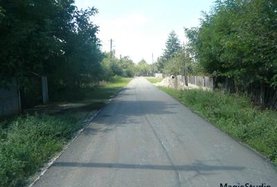 Casă individuală cu 4 camere cu Teren 3200 Mp în Toporu - 10