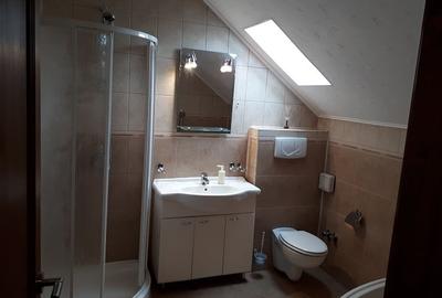 Vila P+1, 240 mpu, curte 670 mp, la 20 km de Bucuresti in Gruiu, Calarasi - 12