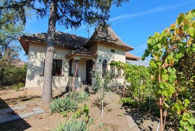 Vand casa in localitatea Giubega - 9