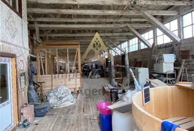 Spațiu comercial, de 3,000 mp, în Agăș - 7