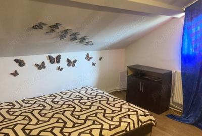 Casă cu 6 camere cu Teren 380 Mp în Buturugeni - 10