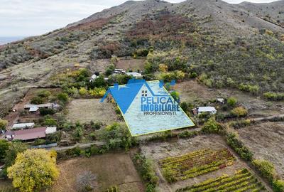 Teren intravilan NICULITEL, zona deosebita, 3044MP - 5