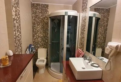 Vinzare casa unifamiliara - 4