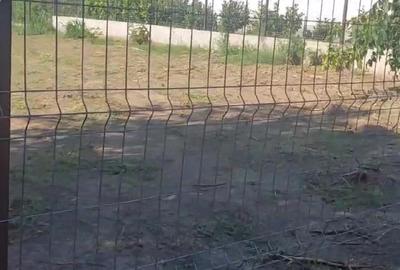 Teren de 1024 mp, în Schela - 3