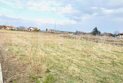 Teren de 500 mp, în Stupini - 1