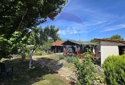 Casa cu etaj deosebita in Chisineu-Cris - un camin creat cu suflet - 20