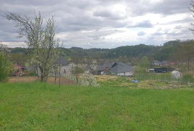 Teren de 1600 mp, în Groși - 2