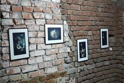 Spațiu comercial, de 132 mp, în Universitate - 8