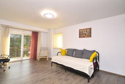 INCHIRIERE  GARSONIERA UNIRII - PIATA ALBA IULIA - 8